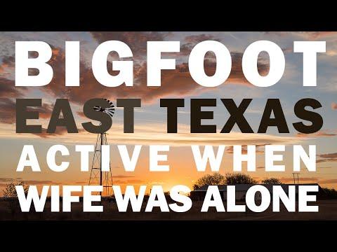 Unveiling Bigfoot Encounters in East Texas: A Terrifying Revelation