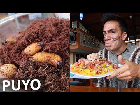 Descubre la Exótica Gastronomía del Puyo en la Amazonía Ecuatoriana