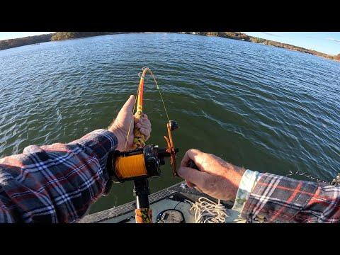 Relax and Reel: A Day of Casual Fishing with Andy