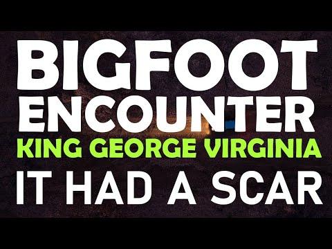 Unveiling the Mysteries of Cryptid Encounters in King George Virginia