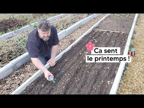 Le printemps arrive : conseils de jardinage pour une saison réussie 🌼🌱