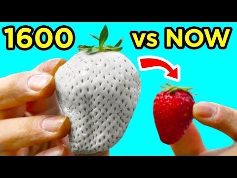 Fascinating Food Evolution: From Ancient Origins to Modern Favorites