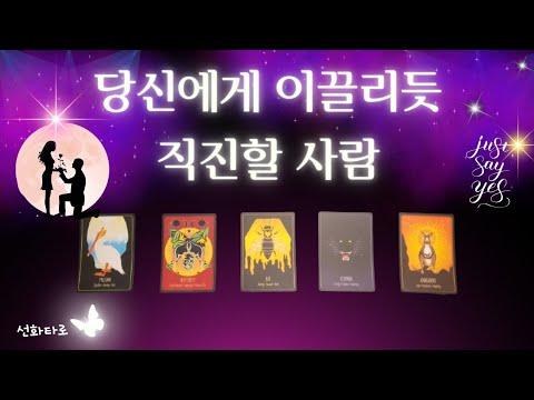 [타로|연애💘] 당신에게 불도저처럼 직진할 사람