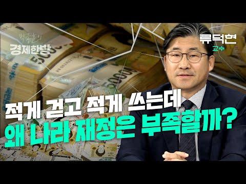 한국 경제의 재정 정책과 세수 결손에 대한 전망