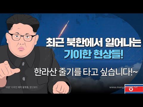 북한에서의 결혼 및 경제적 동향에 대한 인사이트