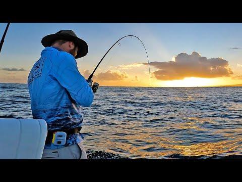 Ultimate Fishing Adventure: Tuna, Sharks, and Unexpected Catches