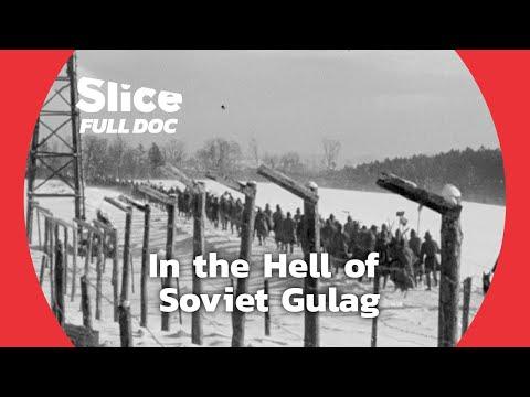 Uncovering the Horrors of the Soviet Gulag System: A Deep Dive into History