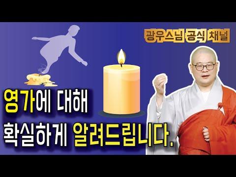 불교에서의 윤회와 깨달음에 대한 이해 | 광우스님의 생화란 무엇인가