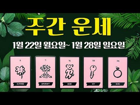 [주간운세] 1월 넷째 주/직장/금전/사업/애정/관계/컨디션