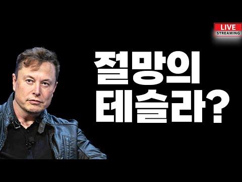 테슬라 주가 하락 소식에 대한 이해와 대응 전략