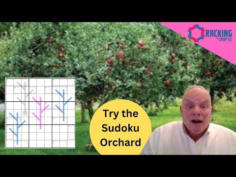 Mastering Sudoku: Unlocking Advanced Strategies