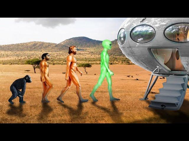 Are Aliens Actually Humans from the Future? Exploring the Time Travel Hypothesis