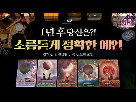 [타로] 1년 후의 운명을 예언하는 카드 읽기