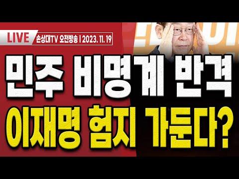 민주당 '쌍특검' 논란과 국회해산권 부활 요구에 대한 분석