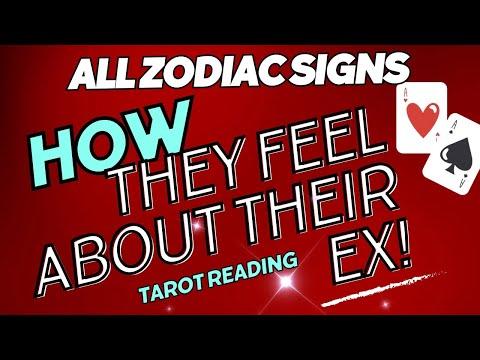 Insights into Zodiac Signs' Feelings Towards Exes - Tarot Reading Analysis