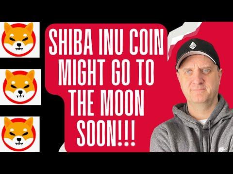 Shiba Inu Coin Price Surge: Expert Analysis and Trading Strategies