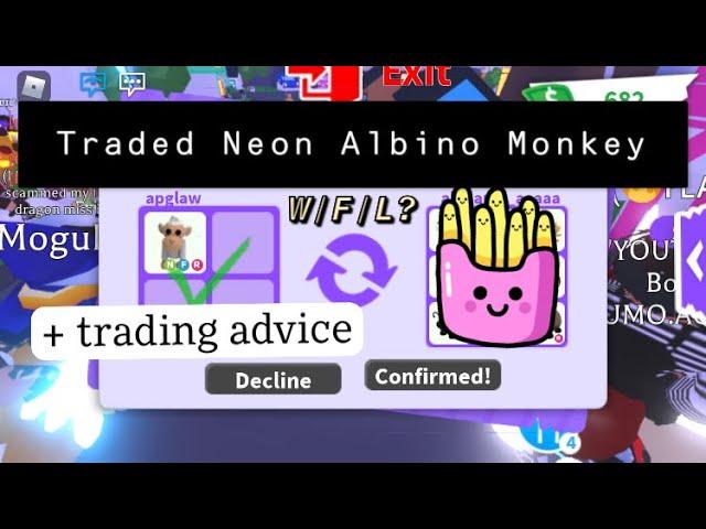 The Neon Albino Monkey: A Rich Server Trading Adventure