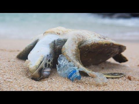 The Future of Plastic Production: Oceania Peru's Campaign Against Plastic Pollution