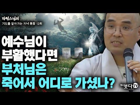 부처님은 어디로 가셨나? | 영혼, 열반, 그리고 사후세계에 대한 이야기