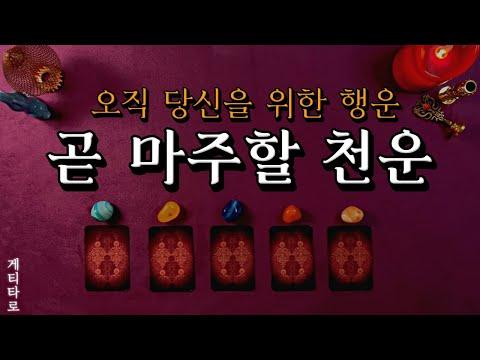 [타로] 미래를 밝히는 천운과 카드의 신비