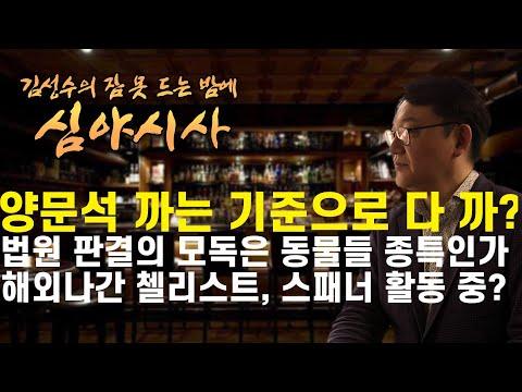 김성수와 정용진의 기술적 문제와 논란에 대한 분석