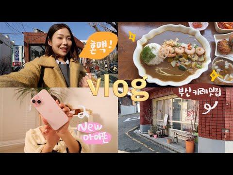 드디어! 화명동 카페 투어와 알뜰요금제 아이폰 구매 VLOG