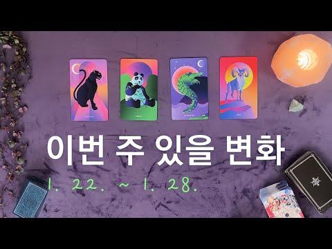 [타로/주간운세] 1월 넷째 주 종합운(1. 22. ~ 1. 28.)