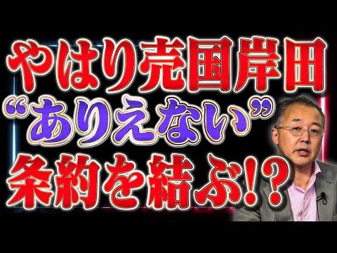 国賓待遇は虚偽!? 売国条約を結んだ!?【山口インテリジェンスアイ】山口敬之×佐波優子