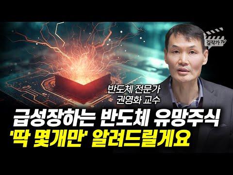 반도체 시장의 성장과 전망: 전문가 권영화 교수의 분석