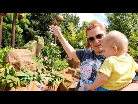 Exciting Family Adventure at EPCOT: Rides, Food & Fun!
