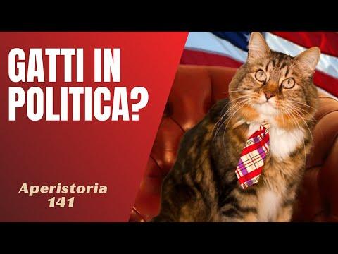 Gatti in Politica: Una Storia Insolita