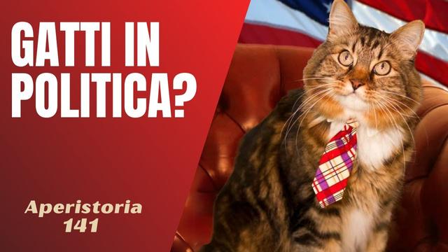 Gatti in Politica: Una Storia Insolita