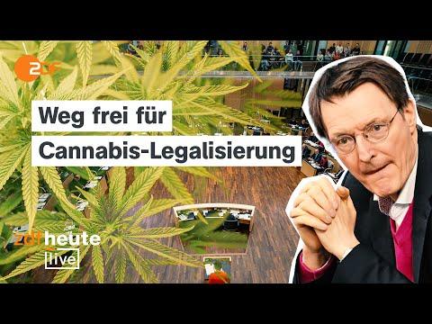Neues Cannabis-Gesetz in Deutschland: Alles, was du wissen musst