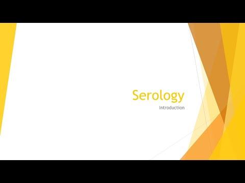 Understanding Serology: Key Points and FAQs