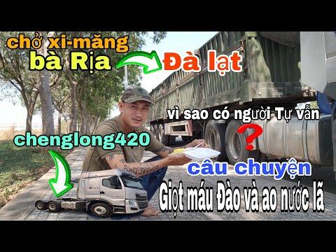 Truck Driver's Journey from Bà Rịa to Đà Lạt: A Story of Hardship and Perseverance