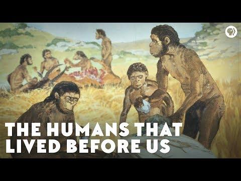 Unraveling the Mystery of Homo Habilis and Homo Erectus