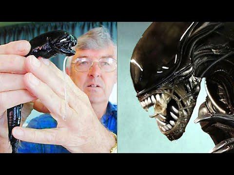 7 Terrifying Prehistoric Creatures That Once Roamed the Earth