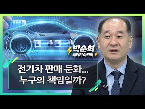 전기차 판매 둔화... 누구의 책임일까?