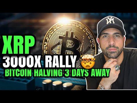 XRP Ripple 3000X Rally: Market Insights and Analysis