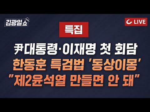 윤-이 대통령, 대표 첫 회동: 협치 vs 대치, 특검 논의와 비대위장 논란