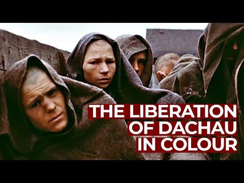 The Liberation of Dachau: A Glimpse into George Stevens' Captivating Footage