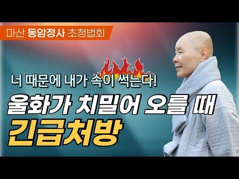 울화가 치밀어 오를 때 긴급처방