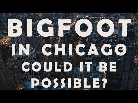 Unveiling Chicago's Bigfoot and Alien Encounters: A Terrifying Revelation