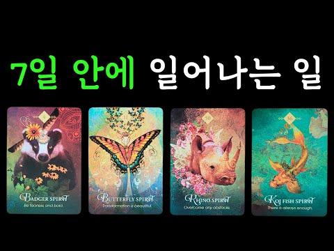 🔮✨ 2월5일~2월11일 주간타로: 새로운 가능성과 변화에 대한 운세