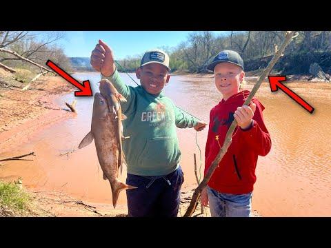 Ultimate Guide to Catching Catfish: Tips and Tricks for a Successful Fishing Trip