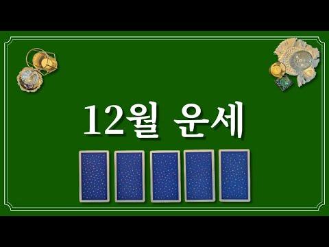 12월 운세⭐️(feat.12월에 있을 좋은 소식)