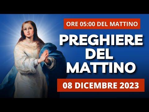 Celebrazione dell'Immacolata Concezione: Preghiere e Riflessioni