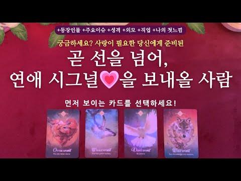 [타로 연애운] 곧 선을 넘어, 나에게 💗연애 시그널을 보내올 사람💘