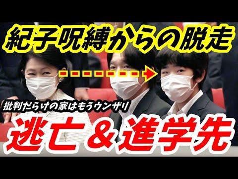 悠仁くんの逃亡進学先に関する情報と注目ポイント