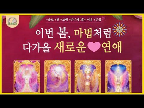 [타로/연애운]💗🌷봄, 새로운 연애를 만나다! 타로 카드로 알아보는 운세